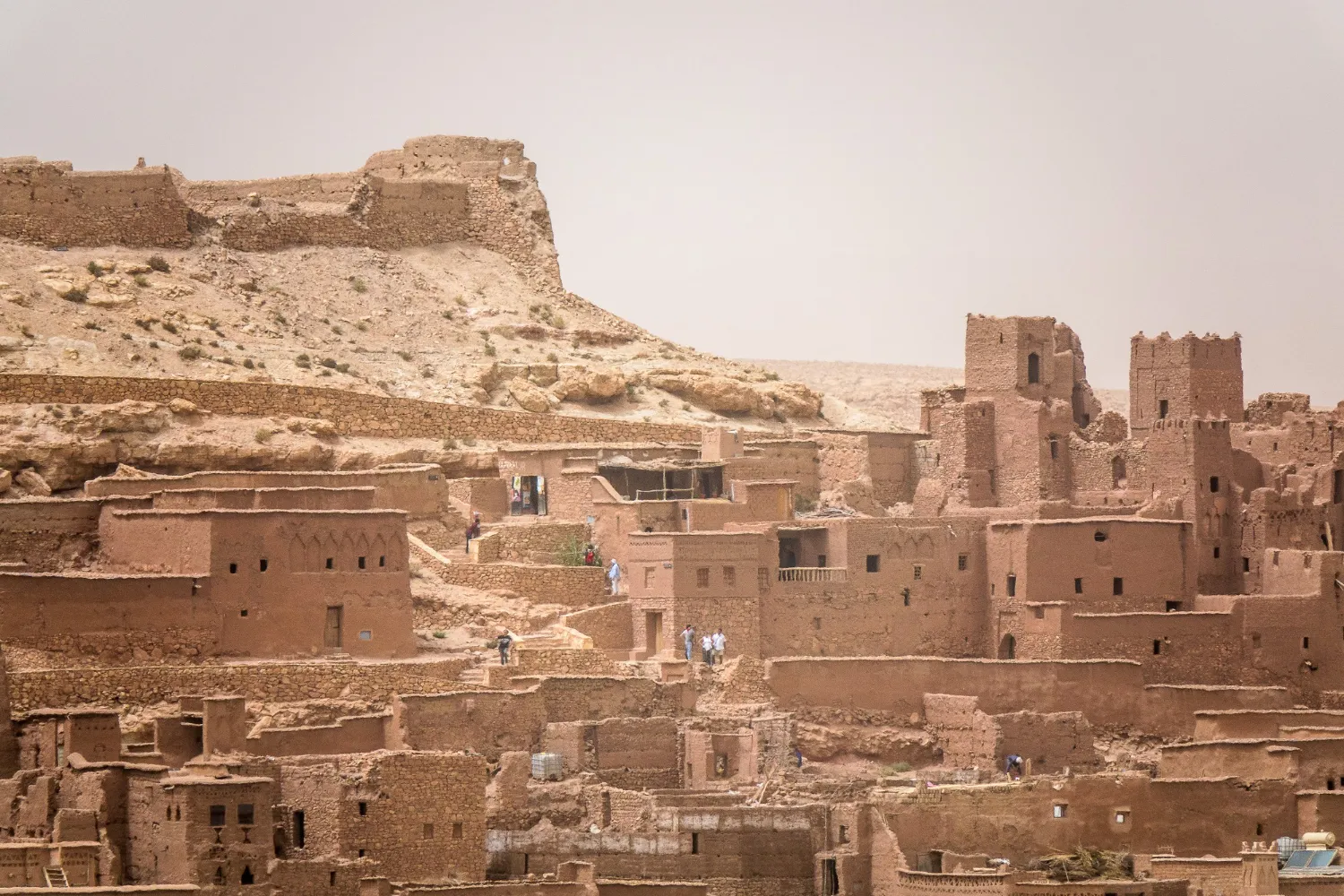 مسقط